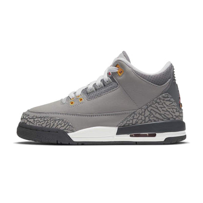 Air Jordan 3 'Cool Grey'